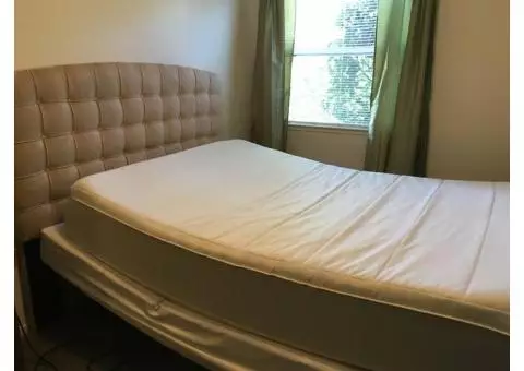 Free Bed Doctor queen sized bed