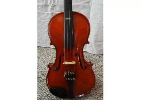 Violin