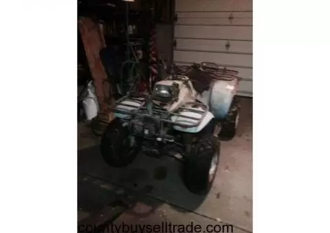 Polaris 4 wheeler