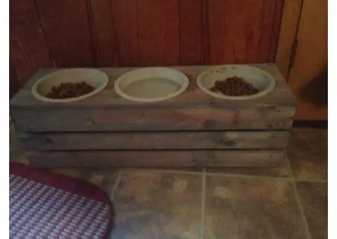 Elevated Pet Feeder