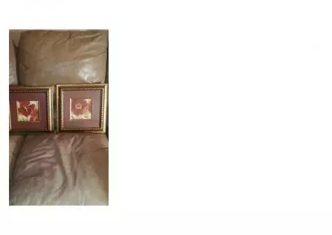 Pair of Framed Pictures