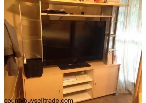 Entertainment Stand