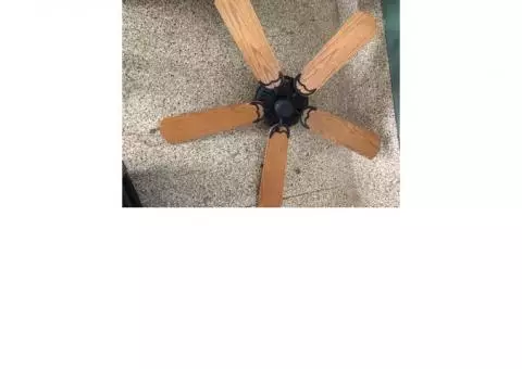 Ceiling Fan