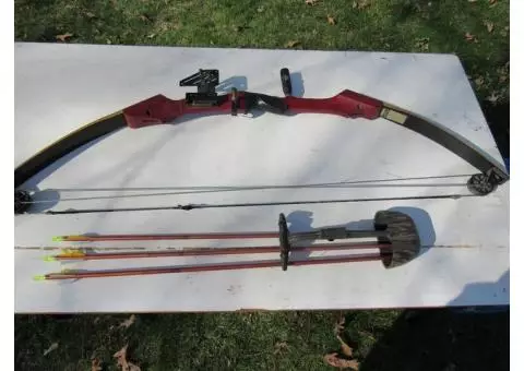 Bow and Arrow Set