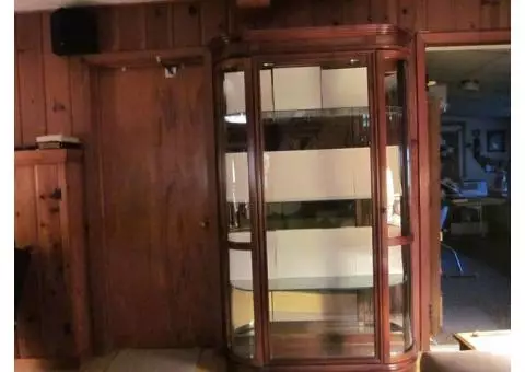 Curio Cabinet or China Cabinet