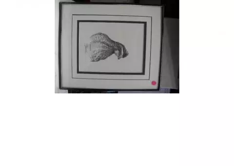 Bobwhite Quail Pencil Print