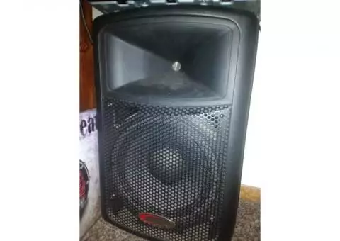 PA Speaker