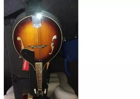 Olympia Mandolin W/Case