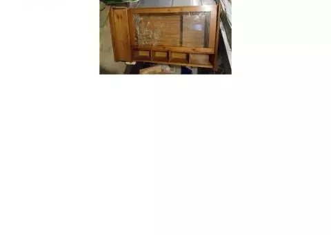 Locking gun cabinet