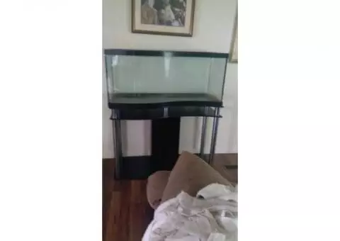 Fish tank and stand