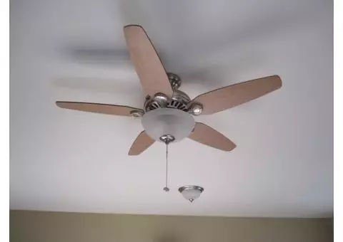 Ceiling Fans