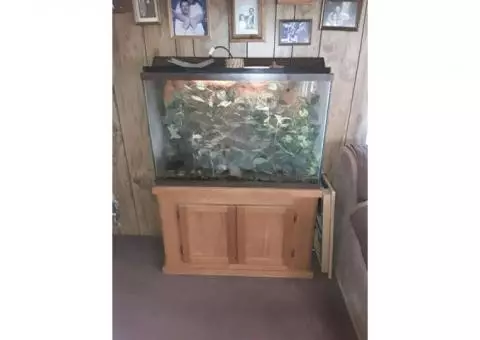 FREE.        100 gallon fish tank.