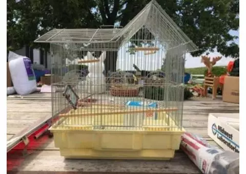 Bird Cage