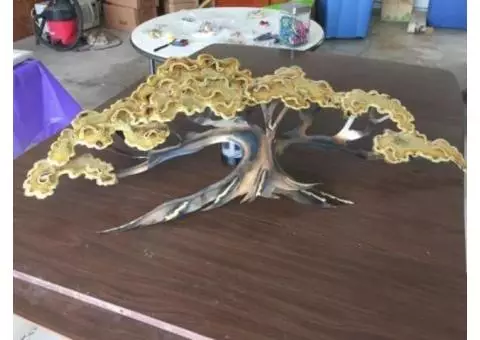 Copper Tree