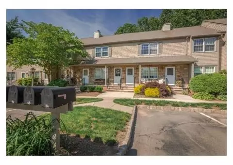 Millenial Dream Home- 53 Adams Ct, Flemington, NJ 08822