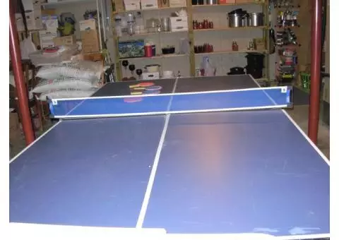 ping pong table