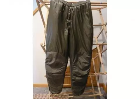 Patagonia micropuff pants