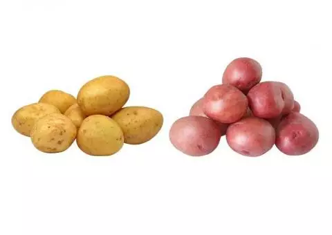 Potatoes