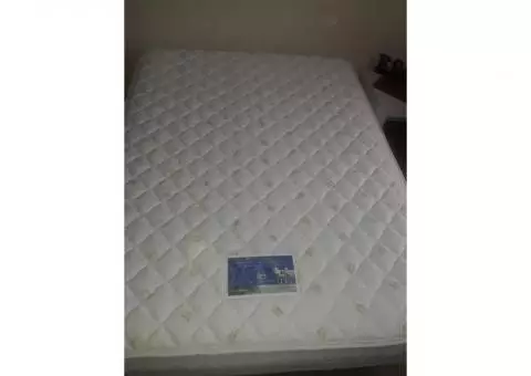 Queen Sealy Mattress and Box Spring