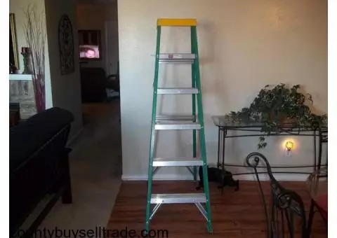 6 Foot Fiberglass & Aluminum Ladder