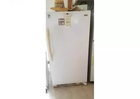 Freezer Stand Up Model