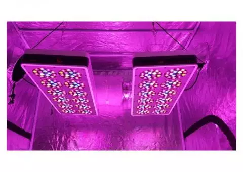 S540 Advanced Spectrum Max Led grow light×2