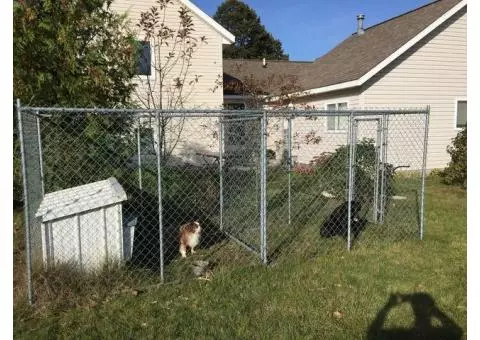 Dog Enclosure and the Best Dog House in the World!