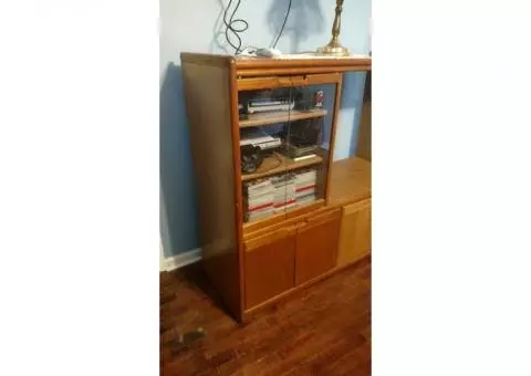 BUSH Entertainment Center