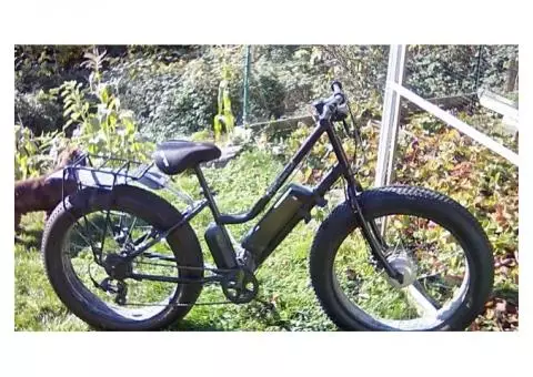 Fat Tire E-Bike