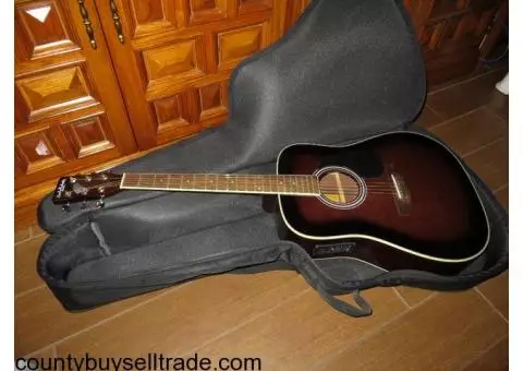 Acoustic/Electric Guitar