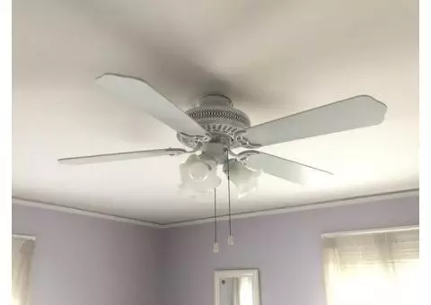 Ceiling Fan for Sale