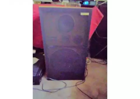 Pioneer floor speakers