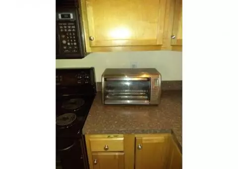 Convectional toaster oven