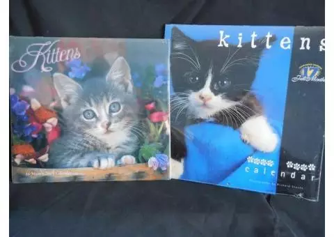 Kitten Calendars From 2001 and 2002