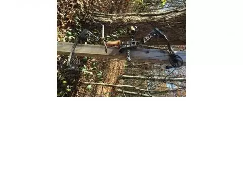 Mathews Switchback XT