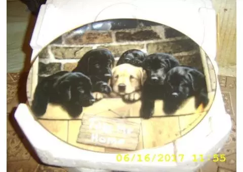 Franklin Mint Collector's Plates; Labrador Retriever collection.