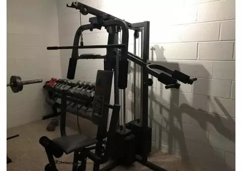 Weider workout weight set