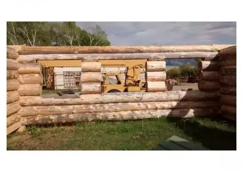 Log House Shell for sale