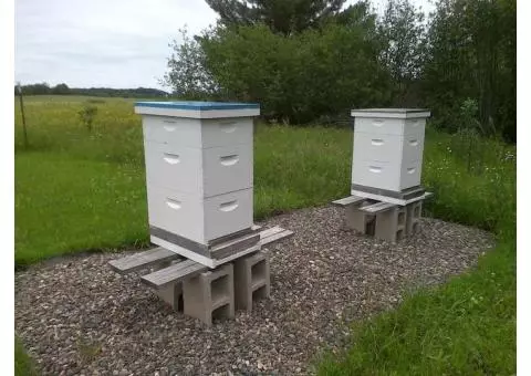 LIGHTLY-WEATHERED, “NEVER-USED” BEEHIVE STANDS (2) COMPLETE WITH ACCESSORIES