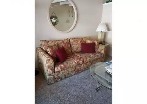 Queen Sleeper/sofa - Like new