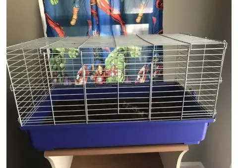 Pet cage