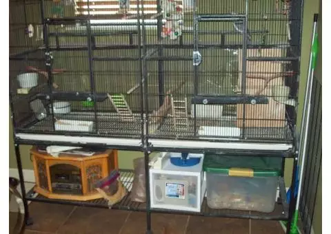 Large Bird Cage