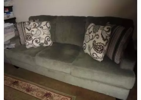 1 year old ASHLEY SAGE SOFA SOLD