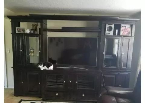 Entertainment Center