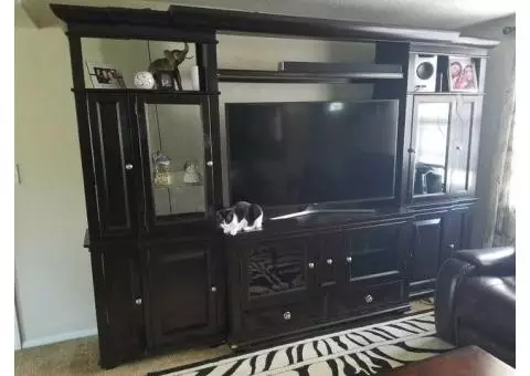 Entertainment Center