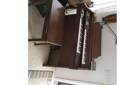 Electronic Organ