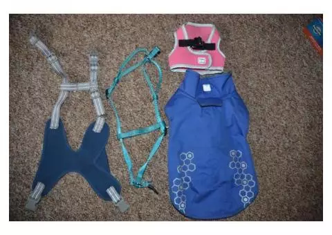 pet harnesses