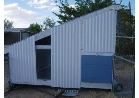 Backyard Chicken Coop