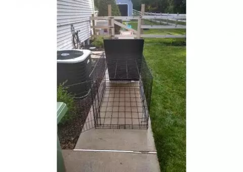 Fold & Carry XL Dog Crate