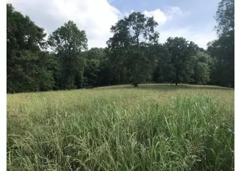 Hay to Cut and Bale